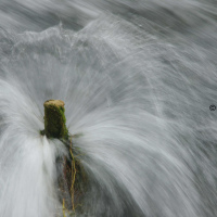 Wasser III 60x90 cm